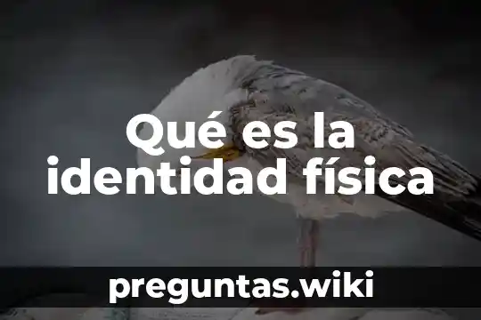 Qué es la identidad física