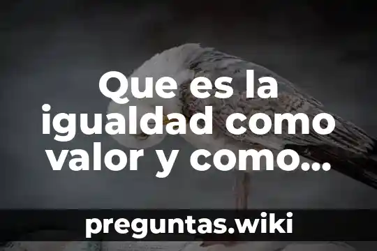 Que es la igualdad como valor y como derecho