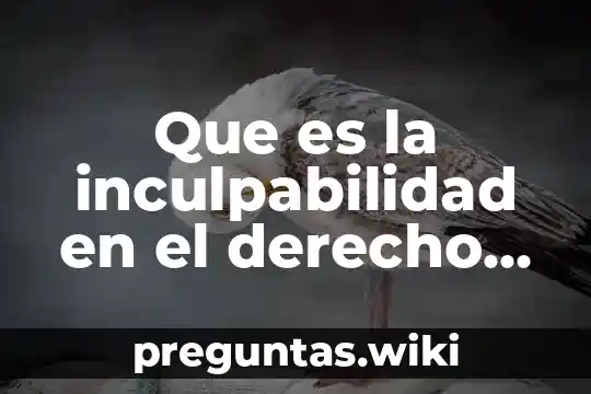 Que es la inculpabilidad en el derecho penal mexicano