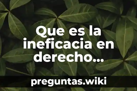 Que es la ineficacia en derecho comercial