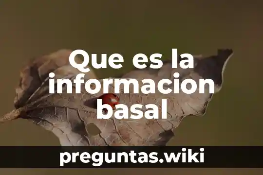 Que es la informacion basal