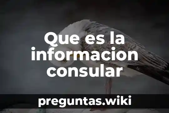 Que es la informacion consular