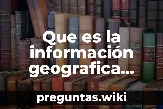 Que es la información geografica entendible