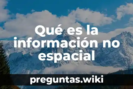 Qué es la información no espacial