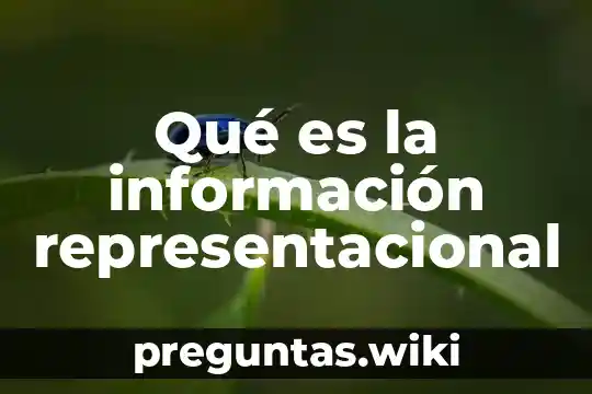 Qué es la información representacional