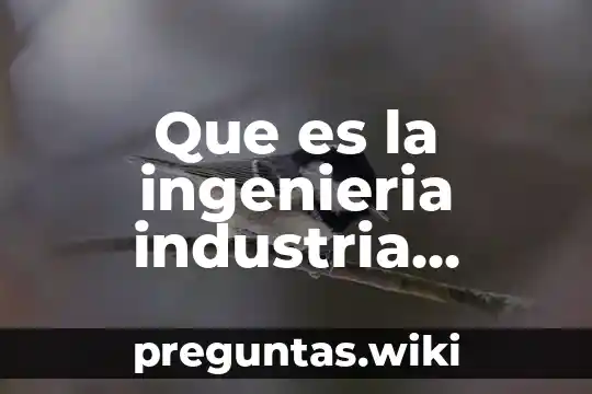 Que es la ingenieria industria quimica