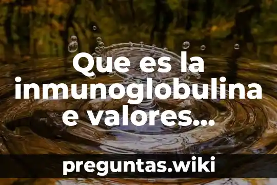 Que es la inmunoglobulina e valores normales