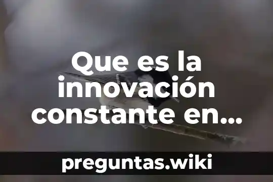 Que es la innovación constante en los procesos productivos