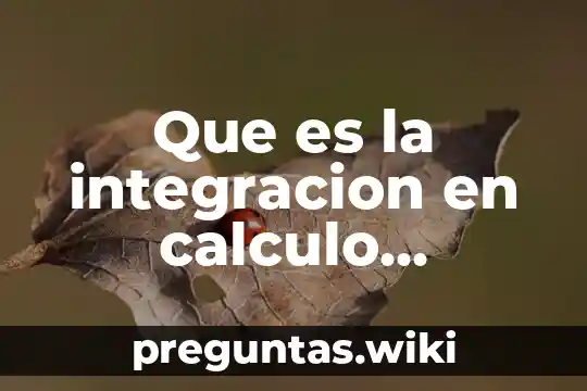 Que es la integracion en calculo vectorial