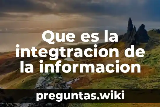 Que es la integtracion de la informacion