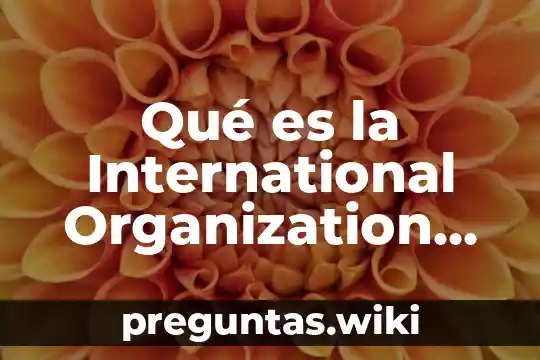 Qué es la International Organization for Standardization