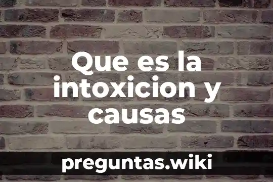 Que es la intoxicion y causas