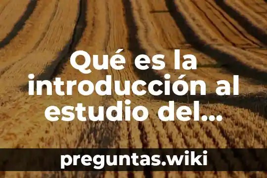 Qué es la introducción al estudio del derecho