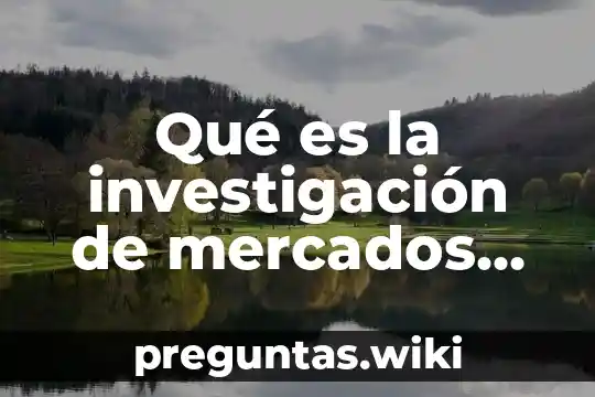 Qué es la investigación de mercados cuantitativa