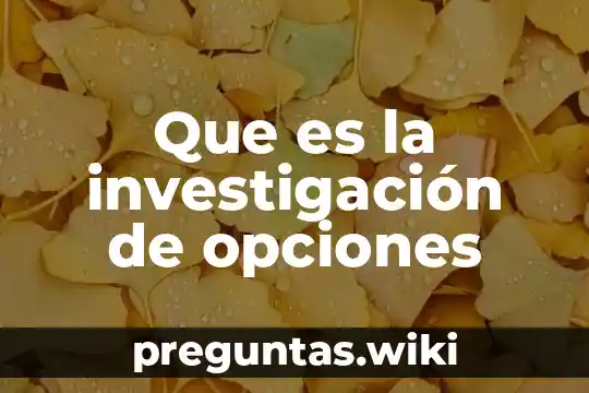 Que es la investigación de opciones
