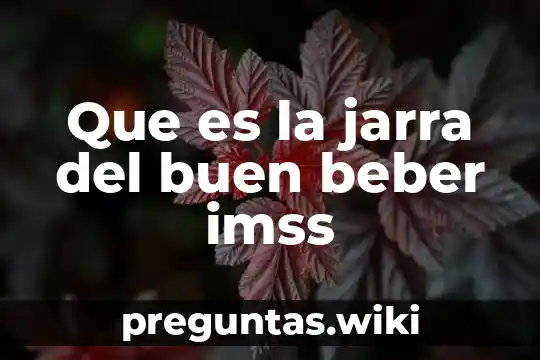 Que es la jarra del buen beber imss