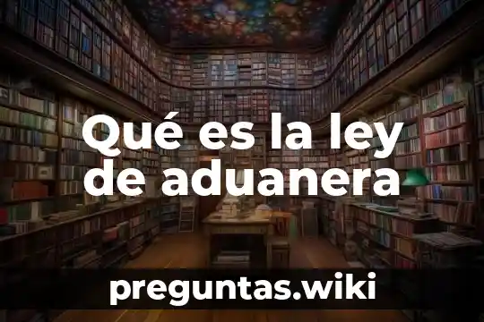 Qué es la ley de aduanera