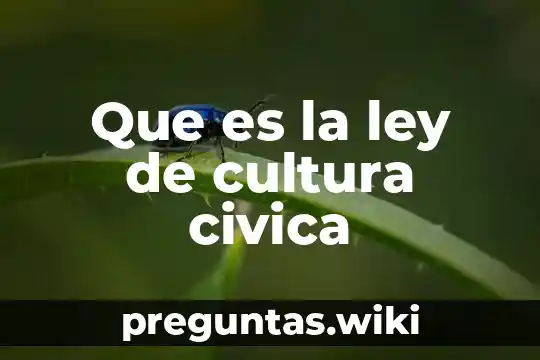 Que es la ley de cultura civica
