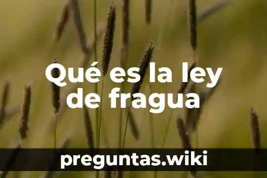 Qué es la ley de fragua