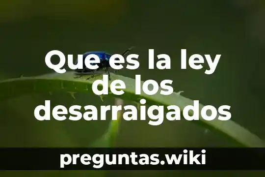 Que es la ley de los desarraigados