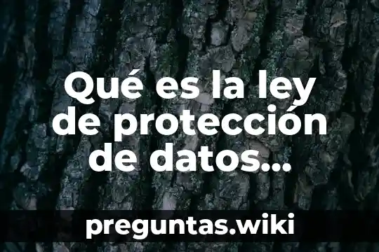 Qué es la ley de protección de datos personales México