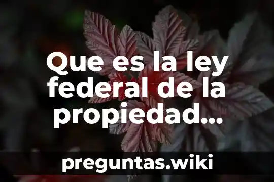Que es la ley federal de la propiedad industrial