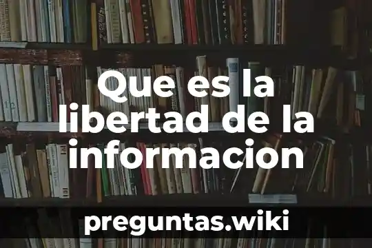 Que es la libertad de la informacion