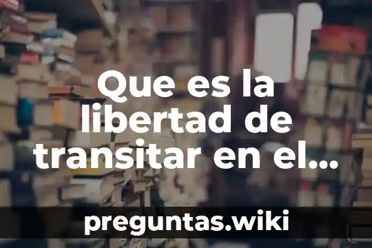 Que es la libertad de transitar en el territorio nacional