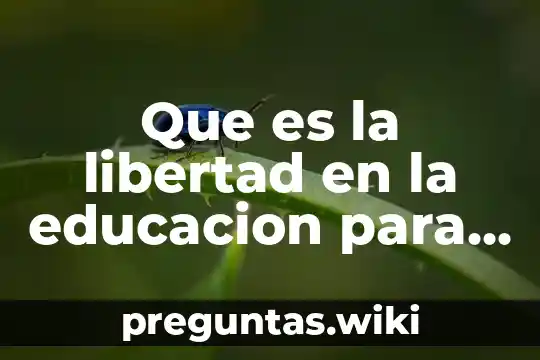 Que es la libertad en la educacion para paulo freire