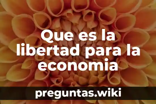 Que es la libertad para la economia
