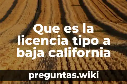 Que es la licencia tipo a baja california