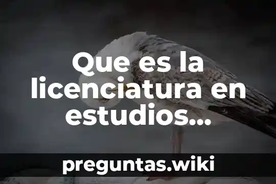 Que es la licenciatura en estudios latinoamericanos
