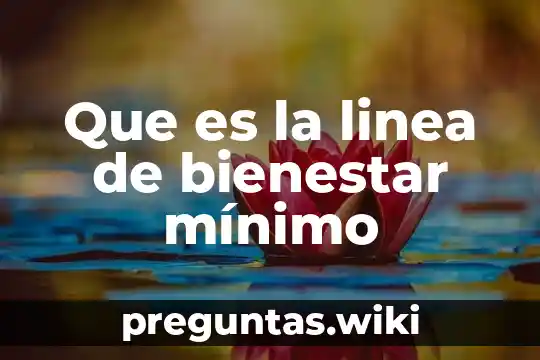 Que es la linea de bienestar mínimo