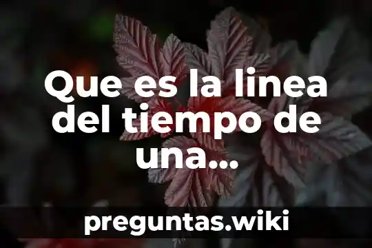 Que es la linea del tiempo de una comunidad