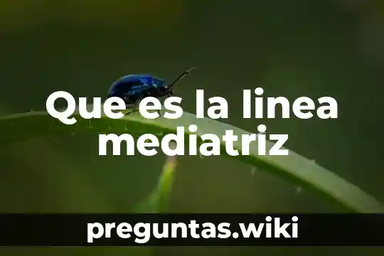 Que es la linea mediatriz