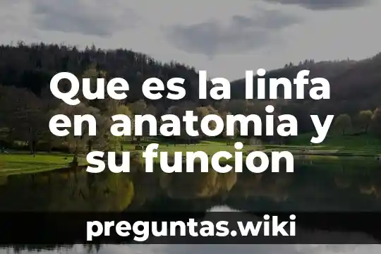 Que es la linfa en anatomia y su funcion