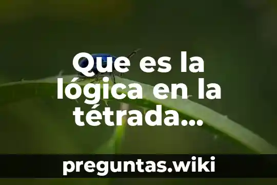 Que es la lógica en la tétrada retórica completa