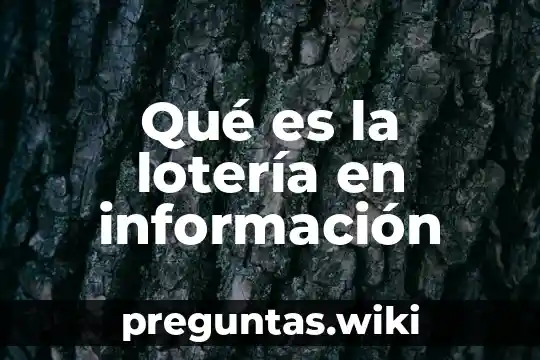 Qué es la lotería en información