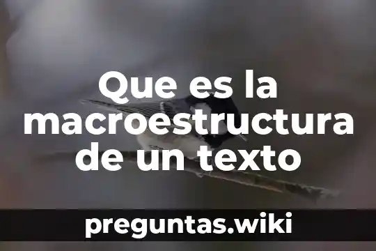 Que es la macroestructura de un texto
