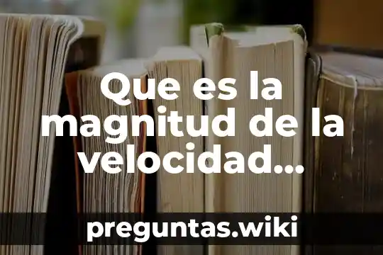 Que es la magnitud de la velocidad media