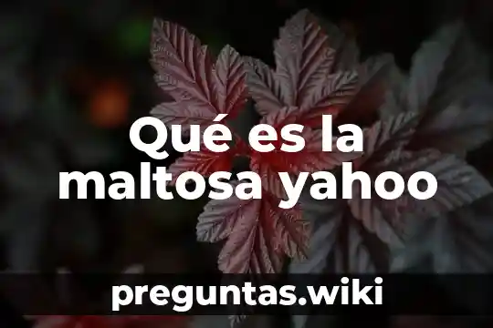 Qué es la maltosa yahoo
