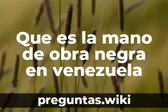 Que es la mano de obra negra en venezuela