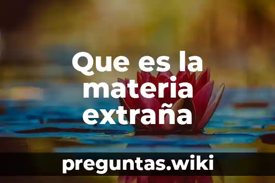 Que es la materia extraña
