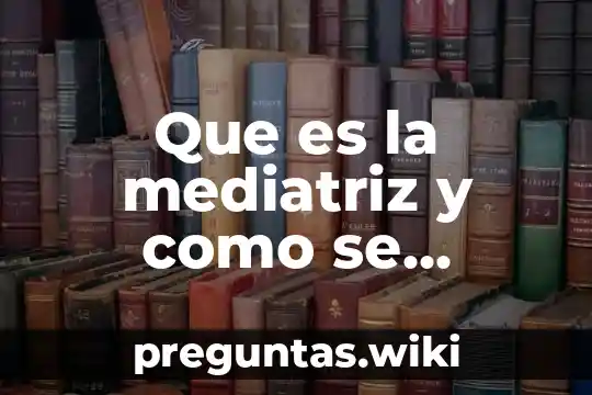 Que es la mediatriz y como se calcula