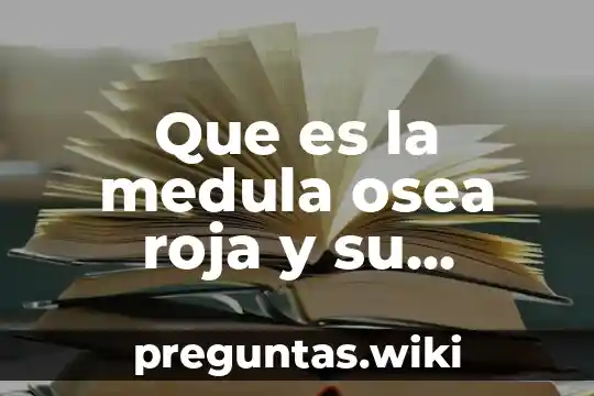 Que es la medula osea roja y su funcion