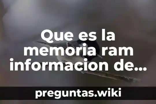 Que es la memoria ram informacion de libros