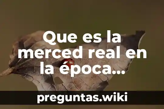 Que es la merced real en la época colonial