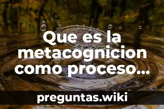 Que es la metacognicion como proceso y producto