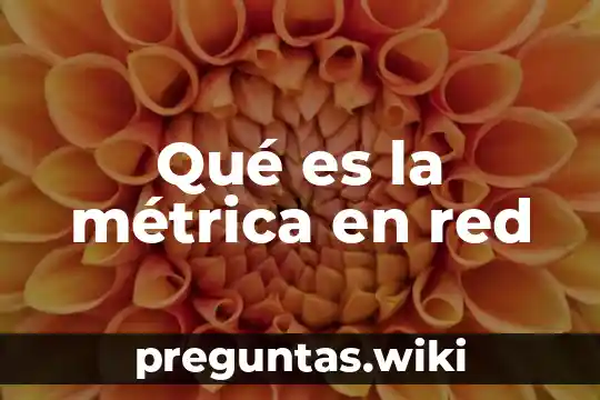 Qué es la métrica en red