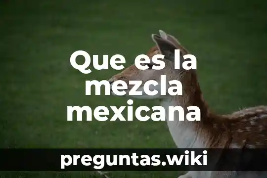 Que es la mezcla mexicana